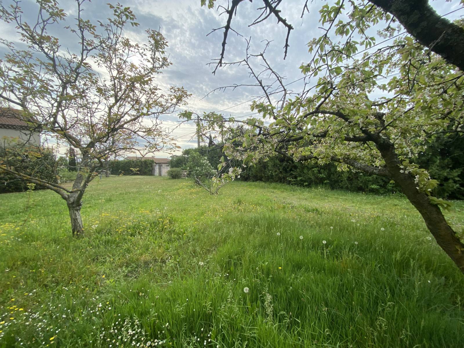 TERRAIN A BATIR 800M² PEAUGRES