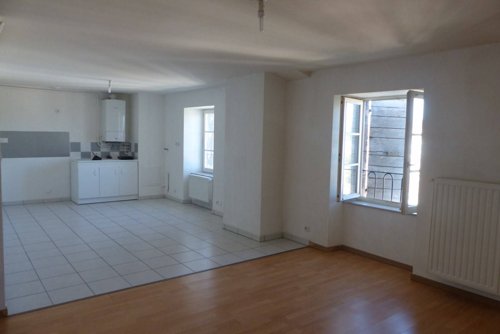 grand salon / séjour avec cuisine