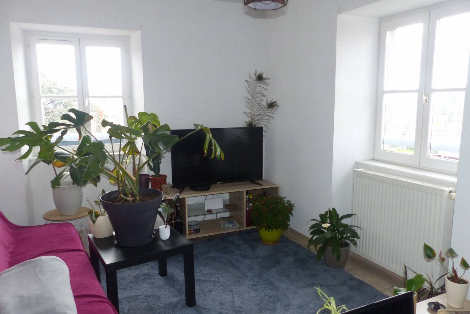 Location Appartement T3 ANNONAY