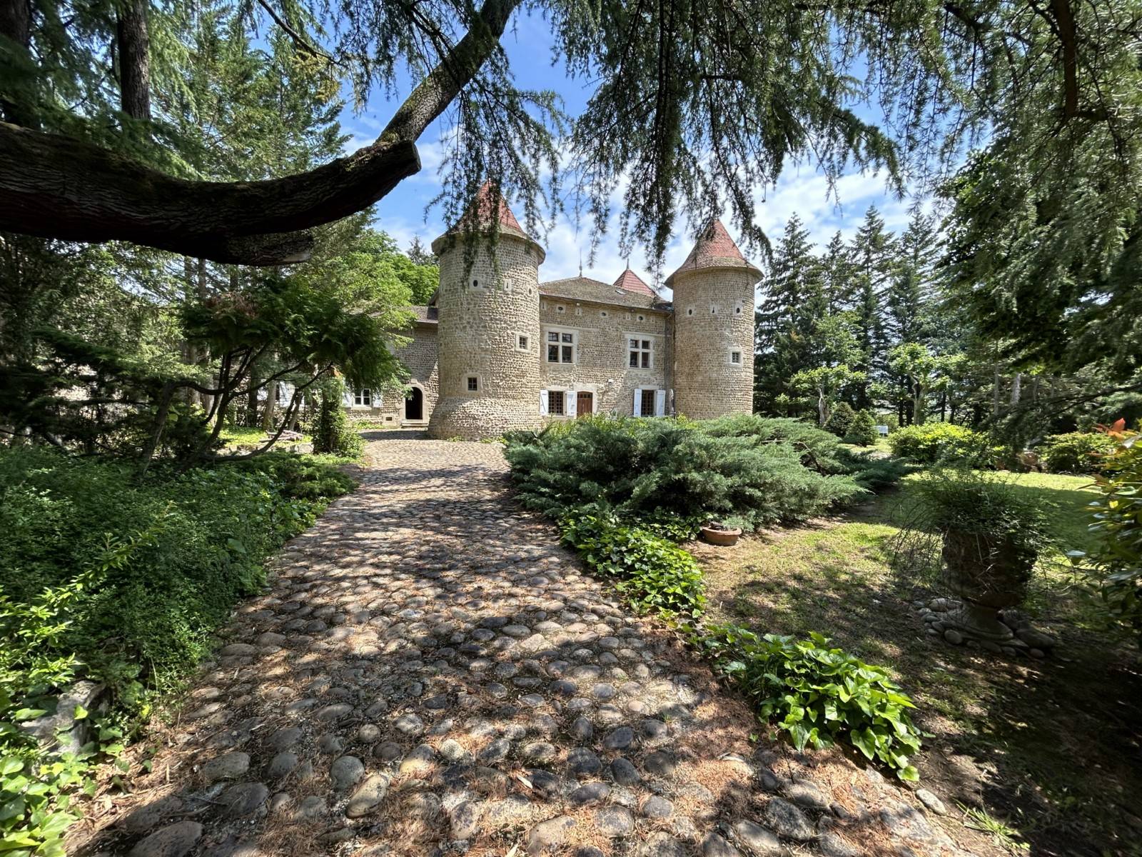 Demeure de caractère en pierres, 329 m² à ALBON