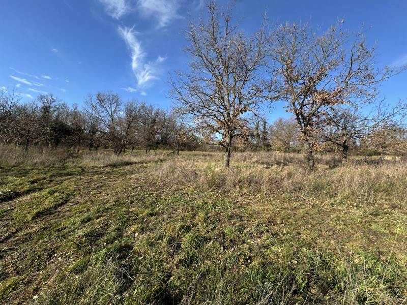 TERRAIN A BÂTIR ROIFFIEUX