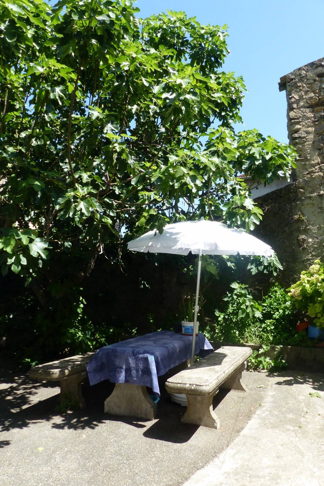 maison de village avec jardinet et garage