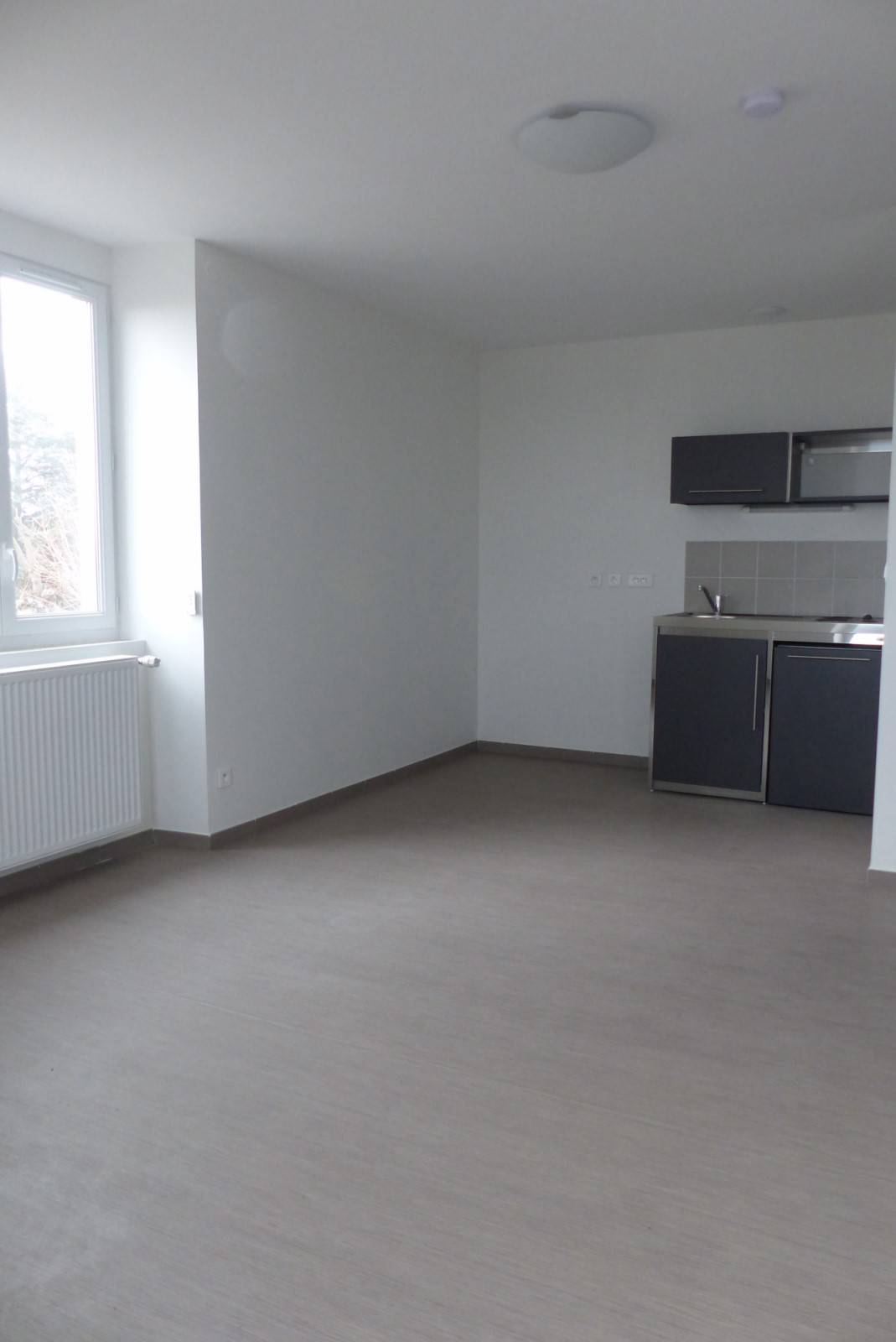 Location Studio T1 ANNONAY dans un cadre de verdure