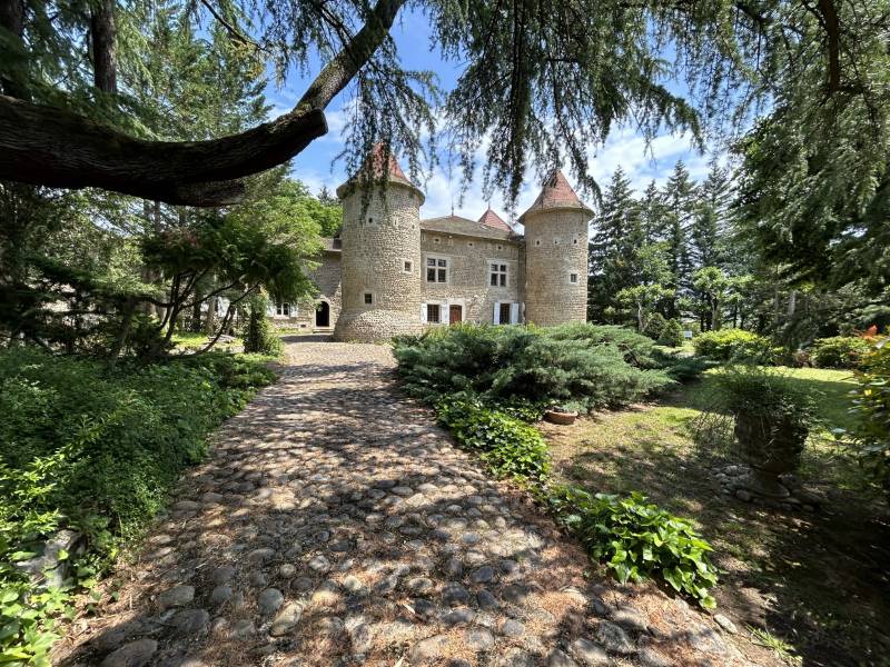Demeure de caractère en pierres, 329 m² à ALBON