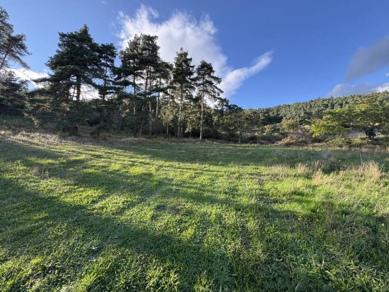 VINZIEUX - Terrain constructible de 1333m²