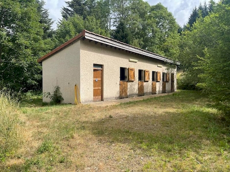 Propriété en Pierre avec 14 hectares de terrain à SAINT JULIEN VOCANCE