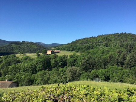 Maison de campagne en pierre 5ch vallée de la Vocance