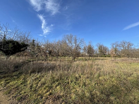 TERRAIN A BÂTIR ROIFFIEUX