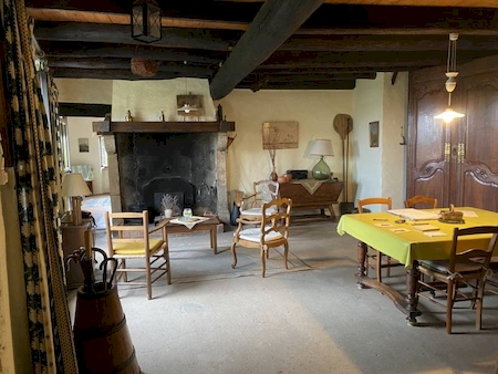 PEAUGRES - MAISON EN PIERRE AVEC 3 CHAMBRES