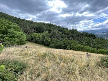 Propriété en pierre avec dépendances sur 16 hectares à VILLEVOCANCE