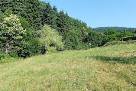 Terrain à bâtir Vanosc 1637m²