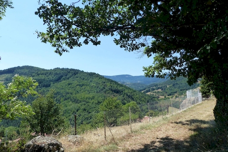 BATISSE EN PIERRE SATILLIEU IDEAL POUR UN GITE