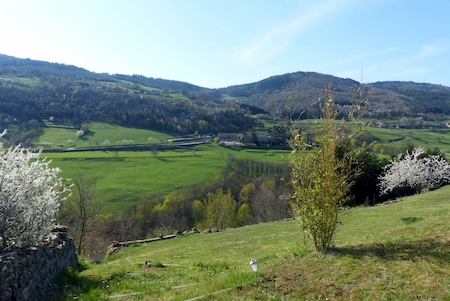 vue sur la campagne