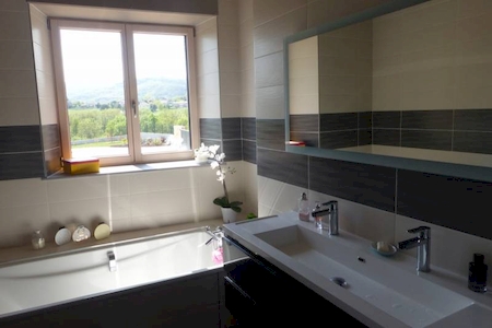 Propriété en pierre proche A7 avec piscine sur plus d'un hectare de terrain