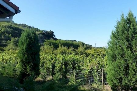 3 chambres, proche des vignes