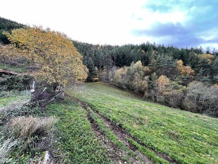 Propriété en pierre avec dépendances sur 16 hectares à VILLEVOCANCE