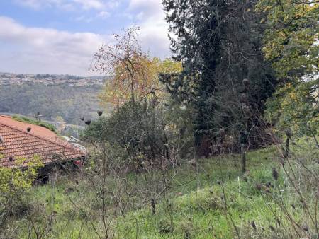 Maison avec grand terrain