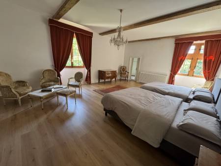 Demeure de caractère en pierres, 329 m² à ALBON