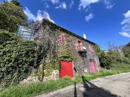 Maison avec grand terrain