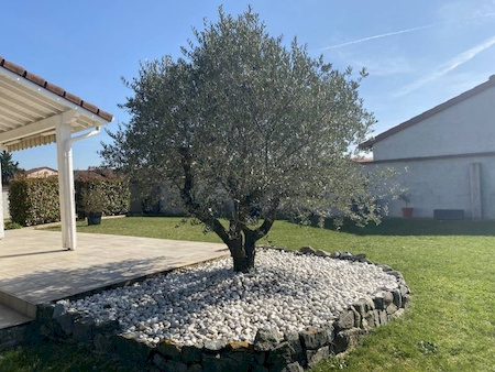 ANNEYRON - Charmante maison à vendre - 3 chambres, jardin paysager, et bien plus !