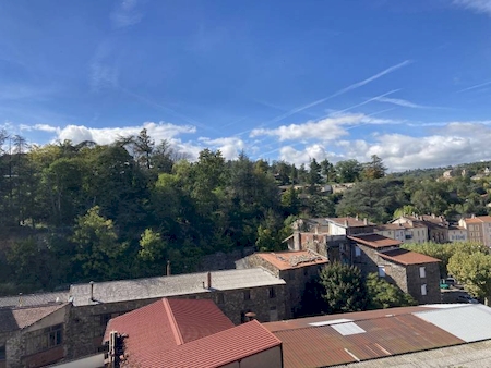 ANNONAY - APPARTEMENT DE CARACTERE DE 110 M²