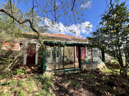 Maison avec grand terrain