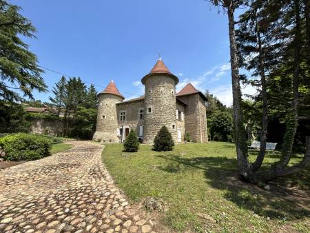 Demeure de caractère en pierres, 329 m² à ALBON