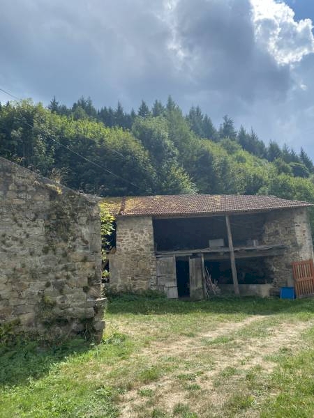 Ensemble immobilier avec deux habitations sur terrain de 7201m²