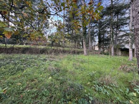 Maison avec grand terrain