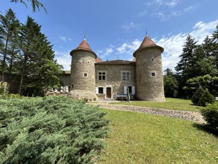 Demeure de caractère en pierres, 329 m² à ALBON